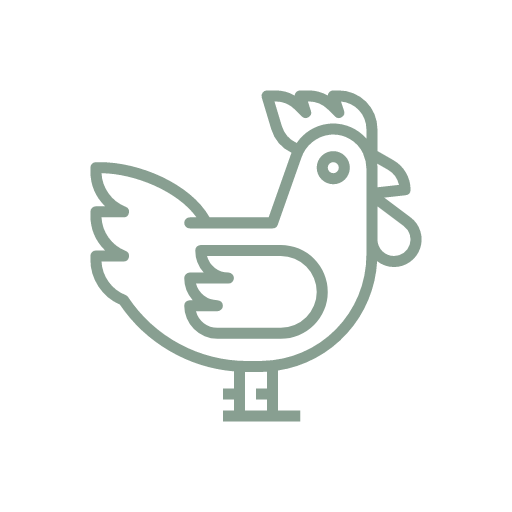 chicken icon for good quality protein