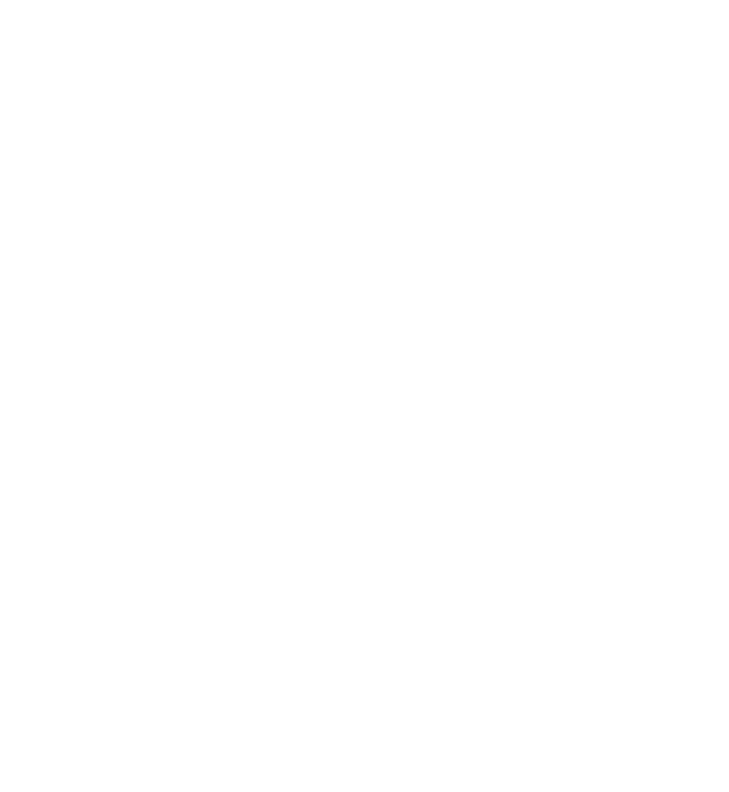 dr suki hon naturopathic doctor logo white